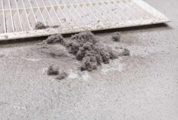 Best Professional Duct Cleaning Services  in Rexburg, ID