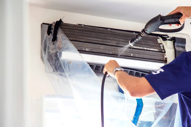 Air Duct Mold Removal in ID