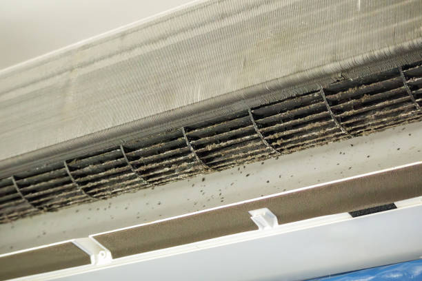 Best Commercial Air Duct Cleaning  in Rexburg, ID
