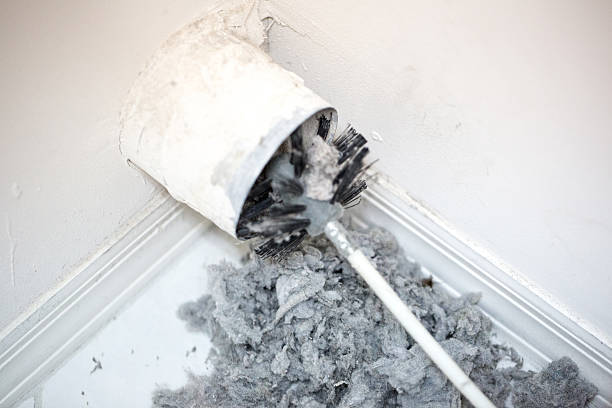 Best Professional Duct Cleaning Services  in Rexburg, ID